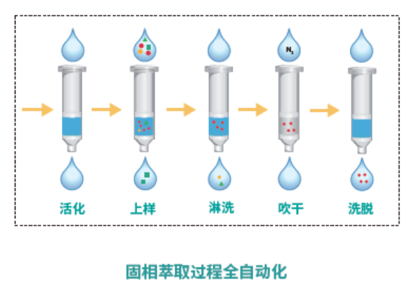 全自动固相萃取全自动化.png